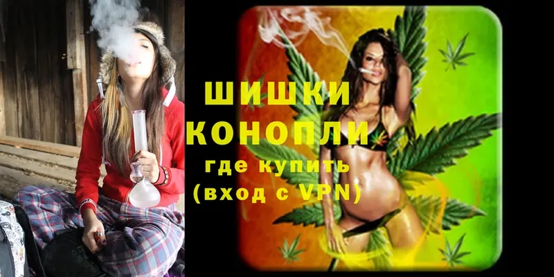 Марихуана White Widow  что такое   Новозыбков 